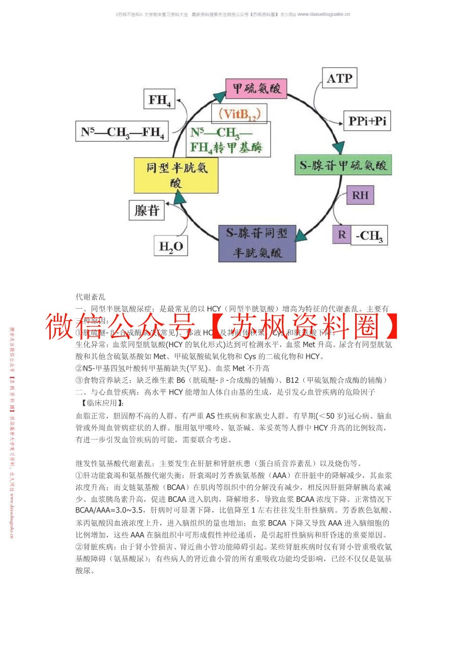 临床生物化学检验技术